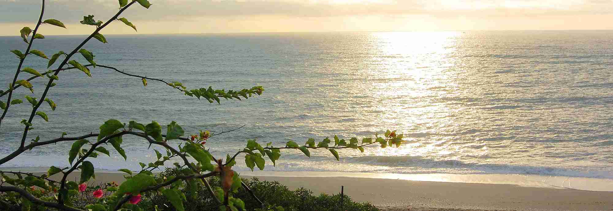 Holidays in Costa del Sol